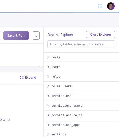 データが入力された Schema Explorer のスクリーンショット